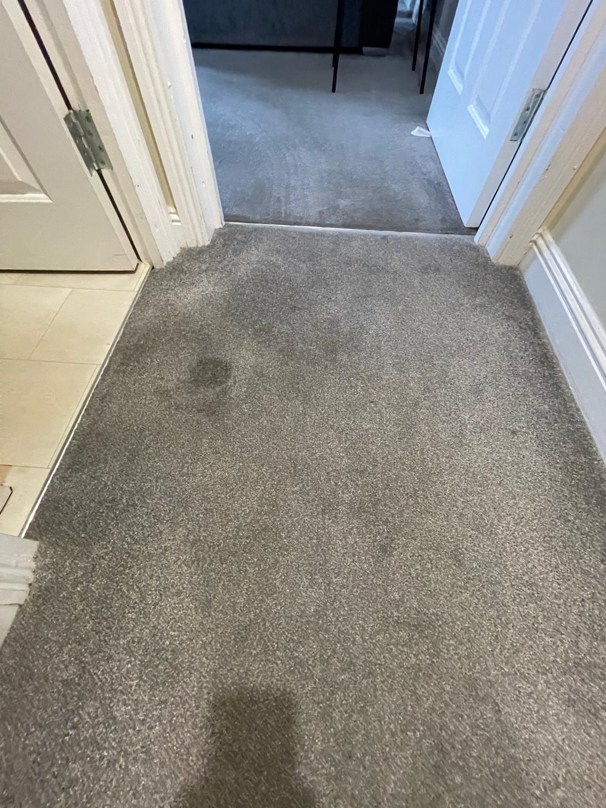 Stain removal - hallway carpet before treatment